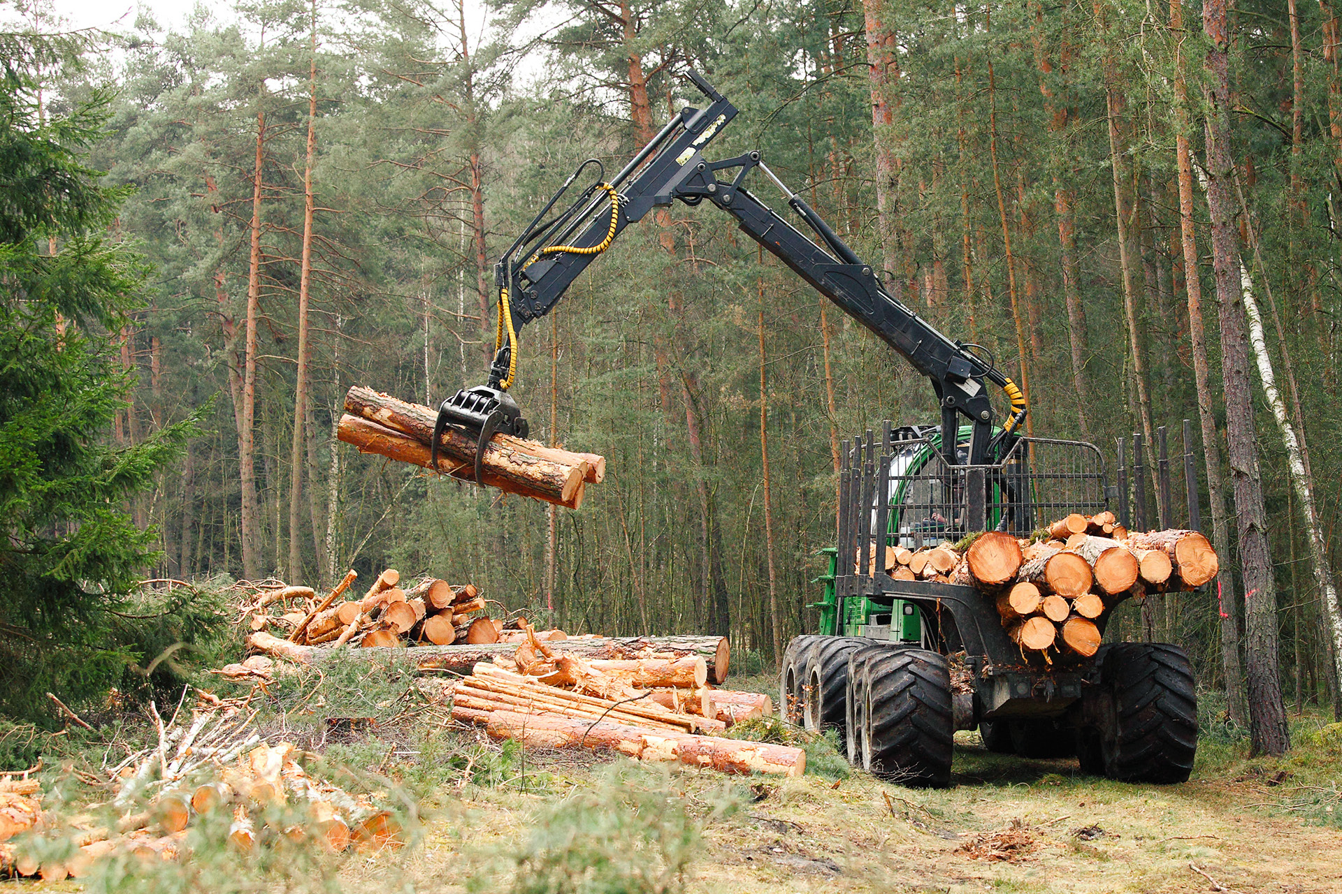 Bot Verdienen Perth Blackborough Bosbouw - Olde Bolhaar