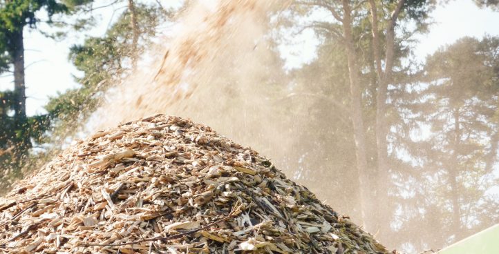 Natuurbeheer en landschapsbouw